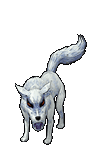 wolf01.png