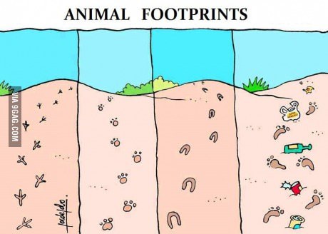 동물들의 발자국.jpg