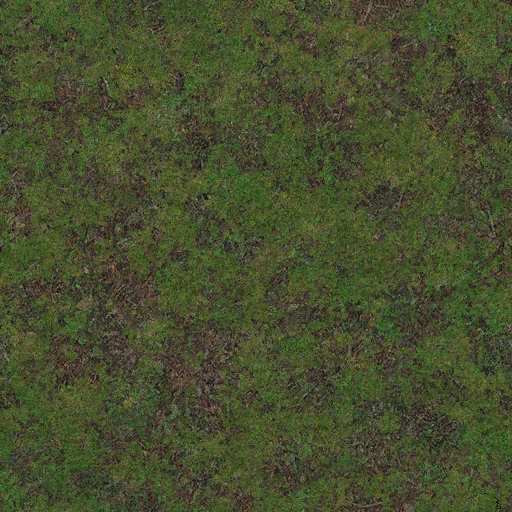 belfastgrass01_only.PNG